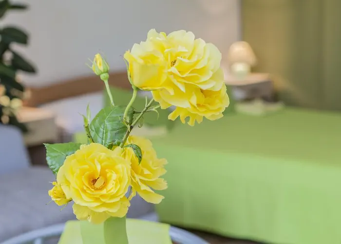 Апартаменты Istria *