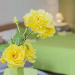 Апартаменти Istria *