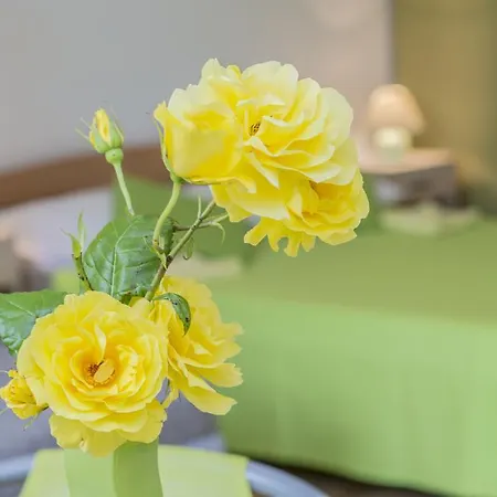 Apartment Istria *