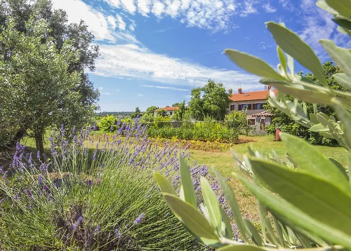 Apartment Istria *