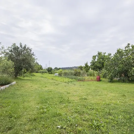 Апартаменты Istria *